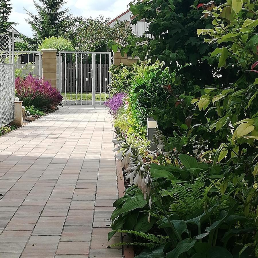 Apartamento U Václava Kněževes Exterior foto